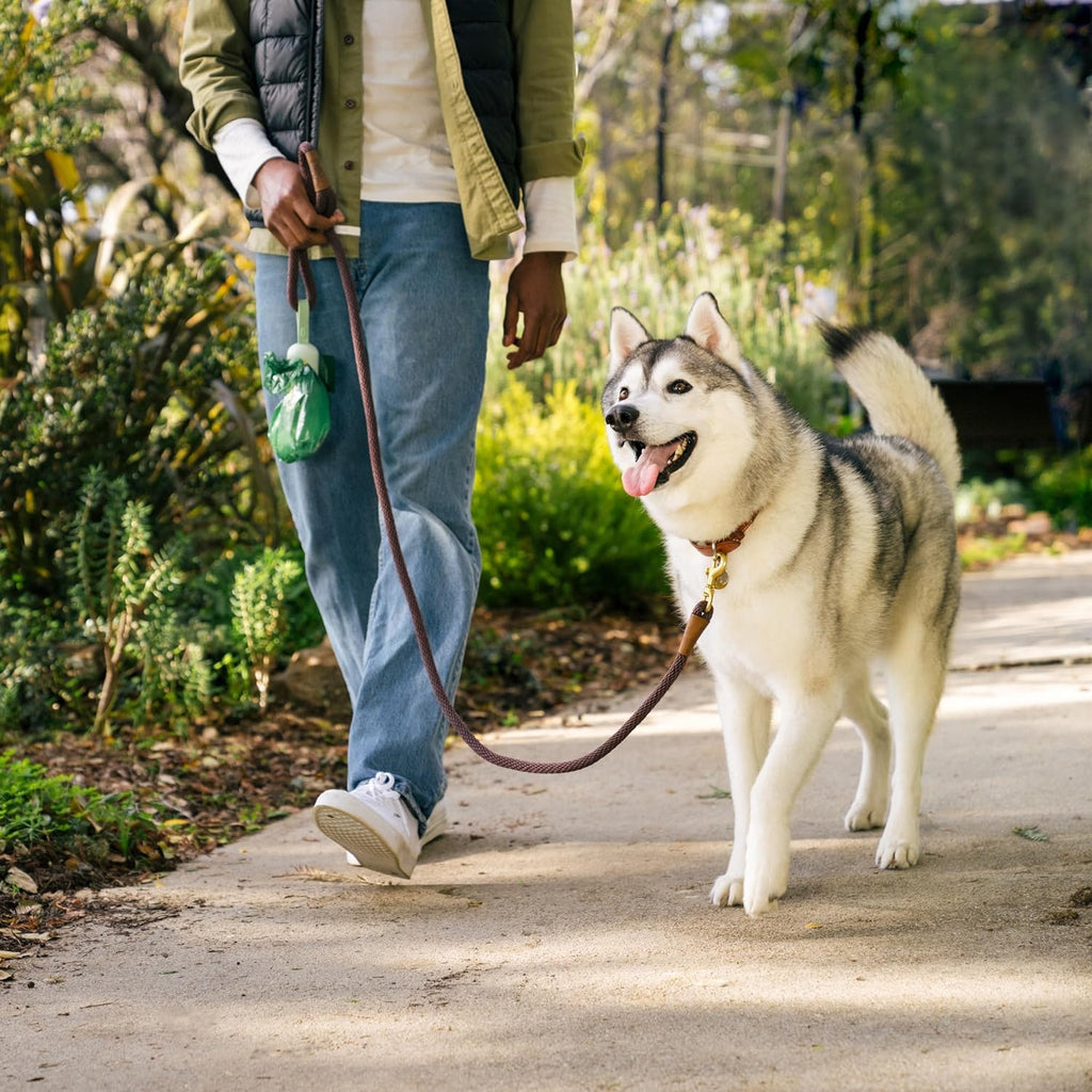 Dog Waste Bag Dispenser with 900 Leakproof Lavender-Scented Bags